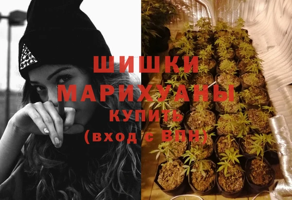 молекула духа Козловка