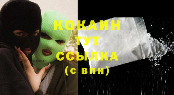 молекула духа Козловка
