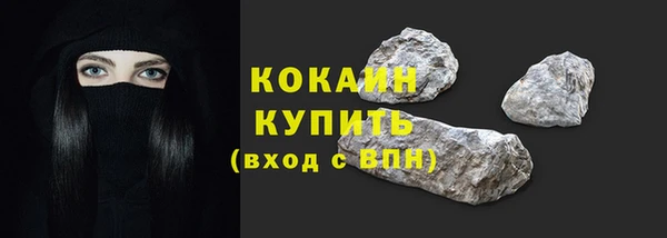 молекула духа Козловка