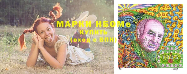 молекула духа Козловка