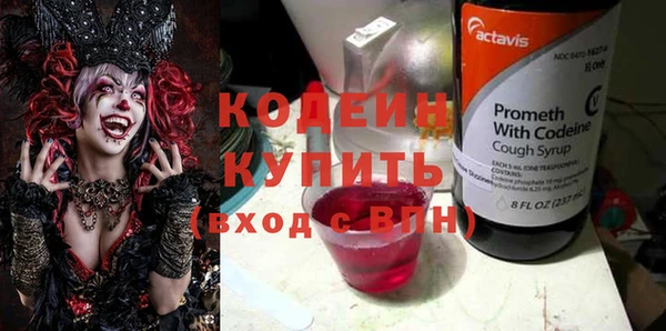 молекула духа Козловка