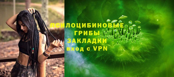 apvp Кодинск