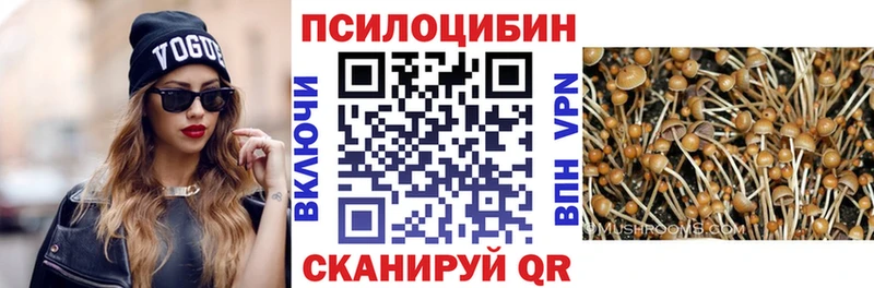 Псилоцибиновые грибы Psilocybe  Купить  Гурьевск 